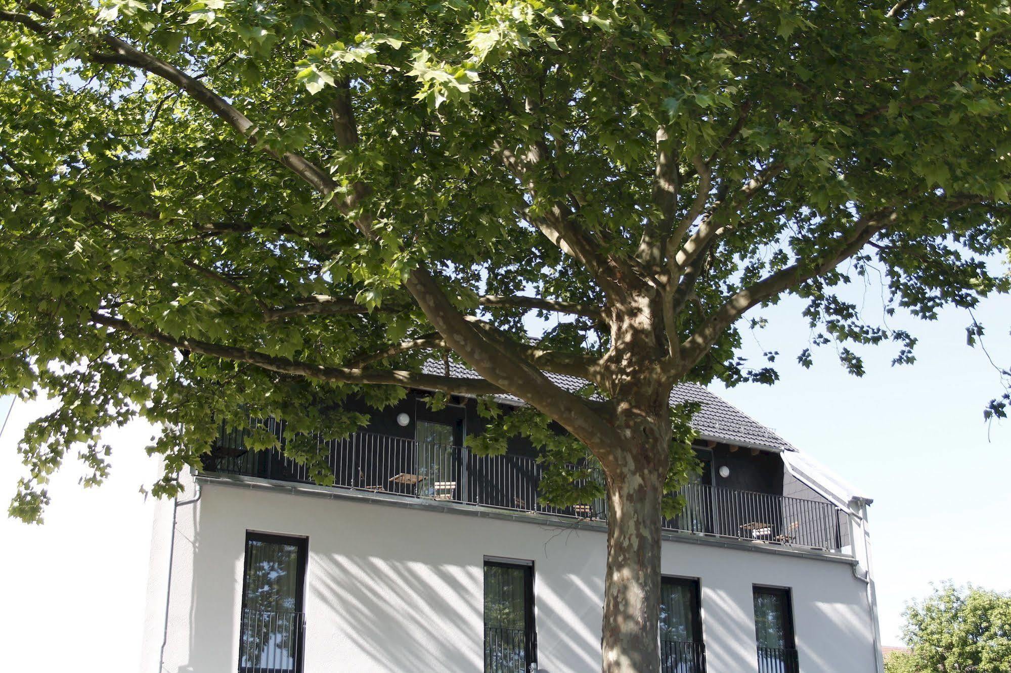 Prime 20 Serviced Apartments Frankfurt am Main Exterior photo